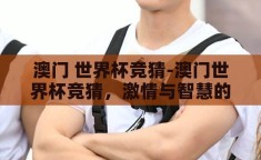澳门 世界杯竞猜-澳门世界杯竞猜，激情与智慧的碰撞