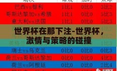 世界杯在那下注-世界杯，激情与策略的碰撞