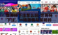 世界杯下注怎么玩-世界杯下注，一场激情与策略的碰撞