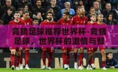 竞猜足球推荐世界杯-竞猜足球，世界杯的激情与智慧碰撞