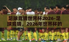 足球竞猜世界杯2026-足球竞猜，2026年世界杯的激情与预测