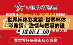 世界杯体彩竞猜-世界杯体彩竞猜，激情与智慧的碰撞