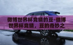 微博世界杯竞猜的豆-微博世界杯竞猜，豆的奇妙之旅