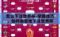 怎么下注世界杯-掌握技巧，如何明智地下注世界杯