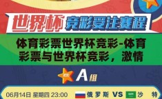 体育彩票世界杯竞彩-体育彩票与世界杯竞彩，激情与智慧的碰撞