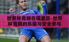 世界杯竞猜在哪里买-世界杯竞猜的乐趣与安全参与指南