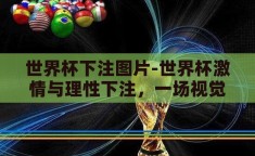 世界杯下注图片-世界杯激情与理性下注，一场视觉与智慧的盛宴