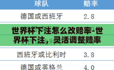 世界杯下注怎么改赔率-世界杯下注，灵活调整赔率的策略与技巧