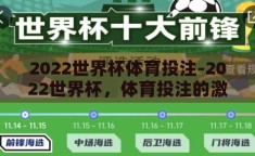 2022世界杯体育投注-2022世界杯，体育投注的激情与策略