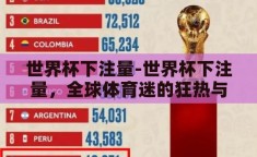 世界杯下注量-世界杯下注量，全球体育迷的狂热与经济效应