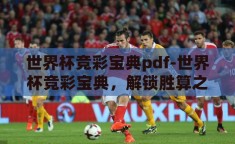 世界杯竞彩宝典pdf-世界杯竞彩宝典，解锁胜算之秘