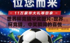世界杯竞猜中奖图片-世界杯竞猜，中奖瞬间的喜悦与激情