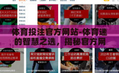 体育投注官方网站-体育迷的智慧之选，揭秘官方网站——您的专业体育投注指南