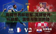 竞猜世界杯冠军-竞猜世界杯冠军，激情与智慧的碰撞