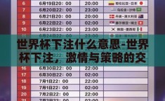 世界杯下注什么意思-世界杯下注，激情与策略的交织
