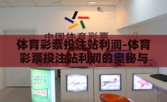 体育彩票投注站利润-体育彩票投注站利润的奥秘与挑战