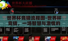 世界杯竞猜流程图-世界杯竞猜，一场智慧与激情的盛宴