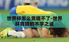 世界杯怎么竞猜不了-世界杯竞猜的不字之谜