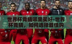 世界杯竞猜哪里买好-世界杯竞猜，如何选择最佳购买渠道