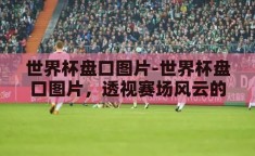 世界杯盘口图片-世界杯盘口图片，透视赛场风云的独特视角