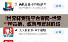 世界杯竞猜平台官网-世界杯竞猜，激情与智慧的碰撞