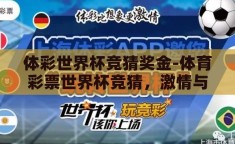 体彩世界杯竞猜奖金-体育彩票世界杯竞猜，激情与机遇的碰撞