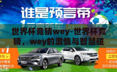 世界杯竞猜wey-世界杯竞猜，wey的激情与智慧碰撞