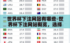 世界杯下注网站有哪些-世界杯下注网站概览，选择与风险并存的数字竞技场