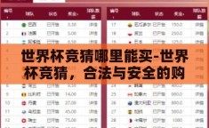 世界杯竞猜哪里能买-世界杯竞猜，合法与安全的购买渠道探索