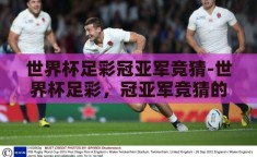 世界杯足彩冠亚军竞猜-世界杯足彩，冠亚军竞猜的激情与策略