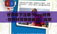 世界杯下注哪个app好用-世界杯观赛新体验，探索高效下注APP的奥秘