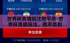 世界杯竞猜投注胜平负-世界杯竞猜投注，胜平负的智慧与乐趣
