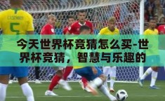 今天世界杯竞猜怎么买-世界杯竞猜，智慧与乐趣的碰撞