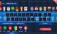 世界杯竞猜官网直播-世界杯竞猜官网直播，激情与智慧的碰撞