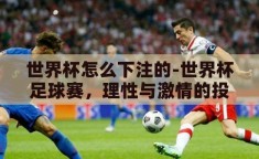 世界杯怎么下注的-世界杯足球赛，理性与激情的投注艺术