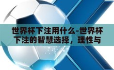 世界杯下注用什么-世界杯下注的智慧选择，理性与策略并重