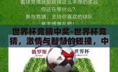 世界杯竞猜中奖-世界杯竞猜，激情与智慧的碰撞，中奖的惊喜之旅