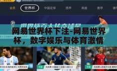 网易世界杯下注-网易世界杯，数字娱乐与体育激情的碰撞