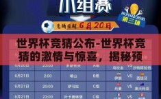世界杯竞猜公布-世界杯竞猜的激情与惊喜，揭秘预测的魅力