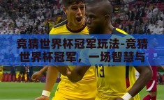 竞猜世界杯冠军玩法-竞猜世界杯冠军，一场智慧与激情的碰撞