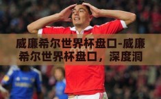 威廉希尔世界杯盘口-威廉希尔世界杯盘口，深度洞察与策略指南