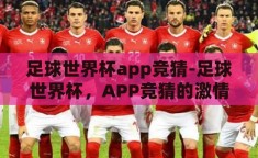 足球世界杯app竞猜-足球世界杯，APP竞猜的激情与策略