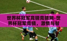 世界杯冠军竞猜竞猜网-世界杯冠军竞猜，激情与智慧的碰撞