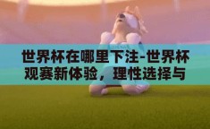 世界杯在哪里下注-世界杯观赛新体验，理性选择与合法下注的智慧