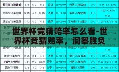 世界杯竞猜赔率怎么看-世界杯竞猜赔率，洞察胜负的智慧之窗