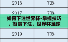 如何下注世界杯-掌握技巧，智慧下注，世界杯足球赛的投注策略