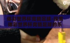 体彩世界杯竞猜足球-探索体彩世界杯竞猜足球的乐趣与挑战