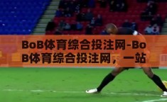 BoB体育综合投注网-BoB体育综合投注网，一站式体育娱乐新体验的探索