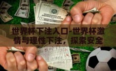 世界杯下注入口-世界杯激情与理性下注，探索安全合法的观赛新方式