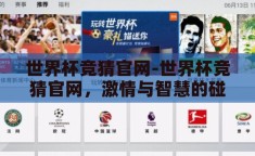世界杯竞猜官网-世界杯竞猜官网，激情与智慧的碰撞